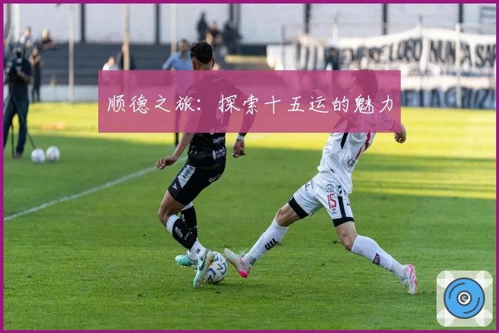 顺德之旅：探索十五运的魅力