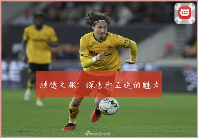 顺德之旅：探索十五运的魅力