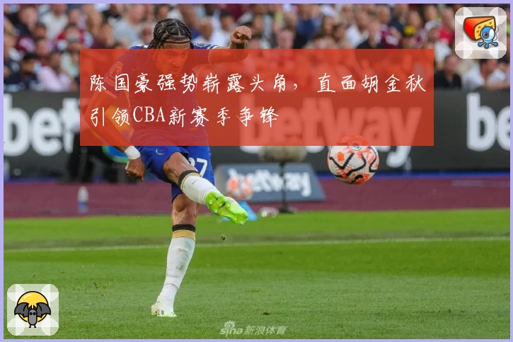 陈国豪强势崭露头角，直面胡金秋引领CBA新赛季争锋